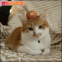 人気ブログランキングへ